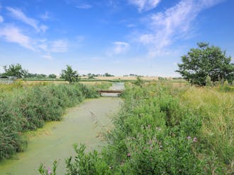 Sydøstjylland_Als/Flensborg Fjord_Halvøen Kegnæs