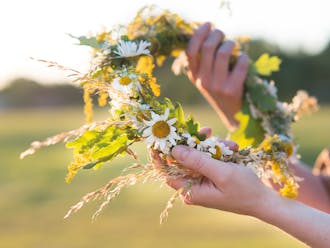 Adobestock 209906095