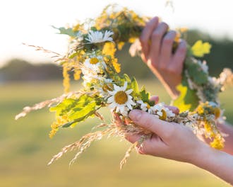 Adobestock 209906095