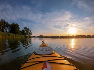 Adobestock 215878786