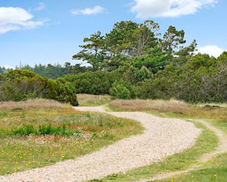 Fyn & øer_Sydfyn_Aa Strand