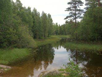 Årjäng Töresbytjärnet