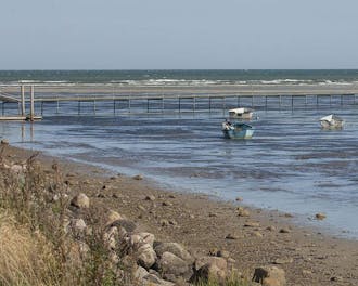 Nordjylland_Kattegat_Helberskov