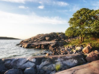 Adobestock 235638364