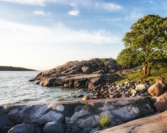 Adobestock 235638364