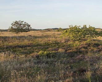 Nordjylland_Skagen_Lodskovvad
