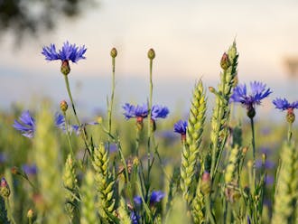 Adobestock 190926482