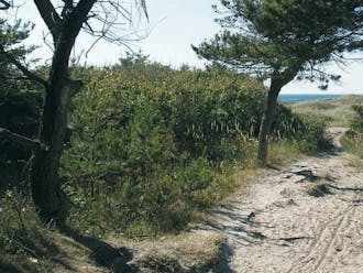 Nordjylland_Tversted_Skiveren